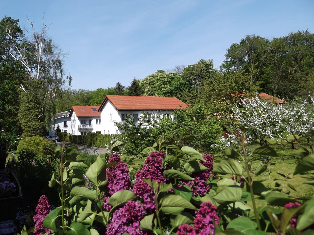 Ferienwohnungen Stranddistel - Apartments Von 30 Bis 75 Qm ซินโนวิทซ์ ภายนอก รูปภาพ